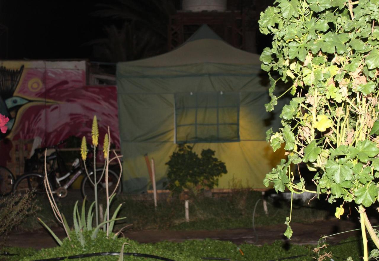 Hostel La Posada Gallo Arica Exterior foto