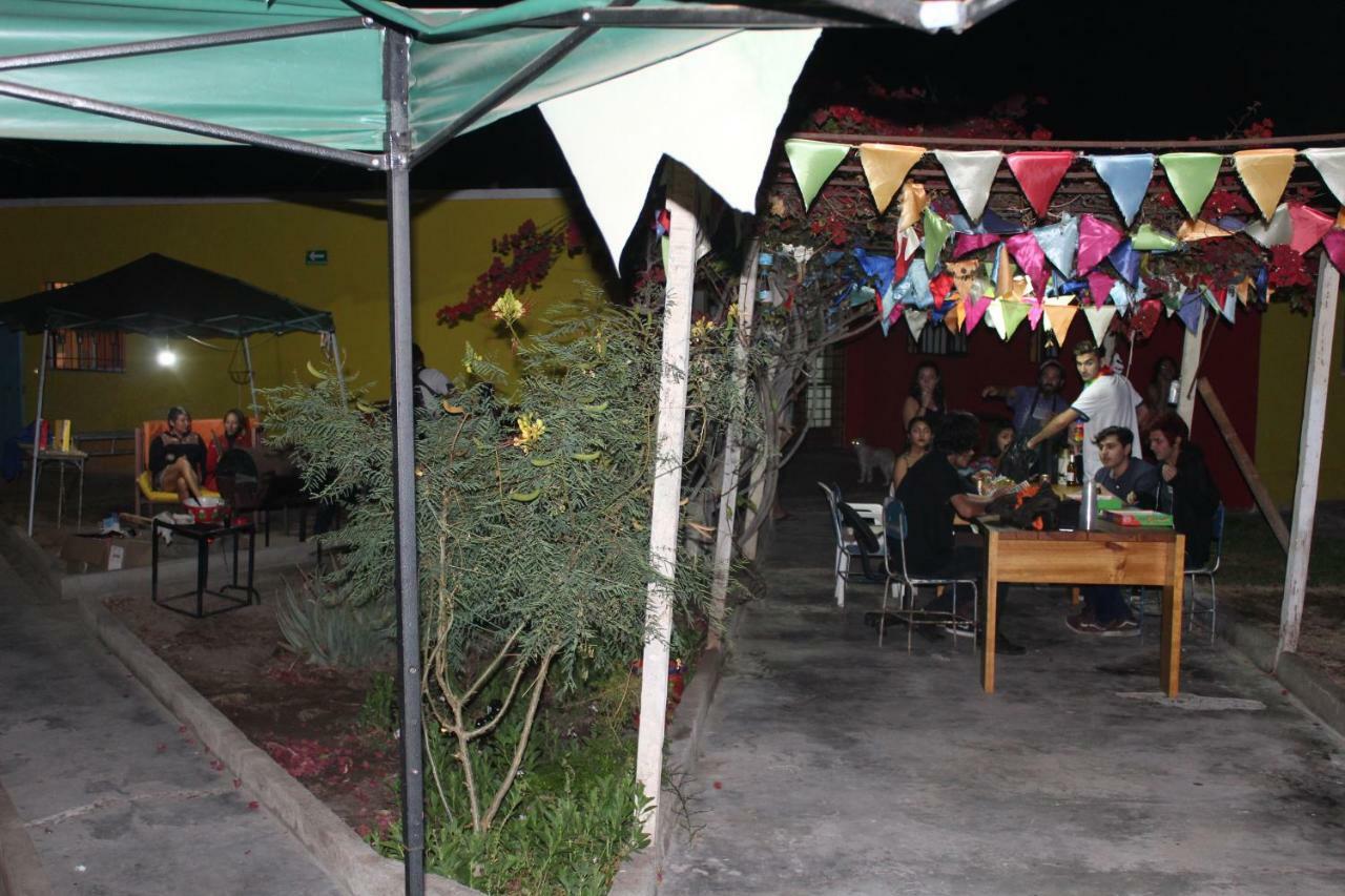 Hostel La Posada Gallo Arica Exterior foto