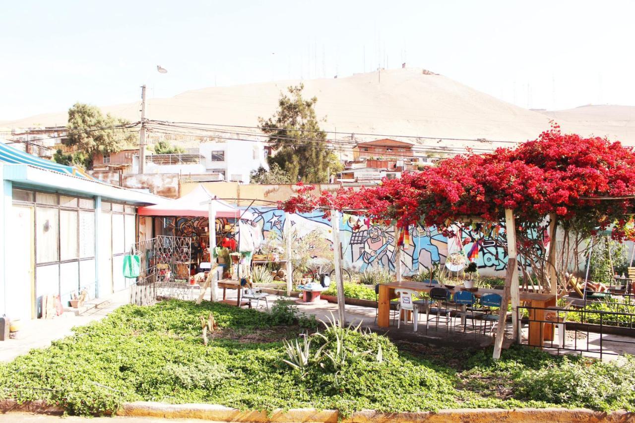 Hostel La Posada Gallo Arica Exterior foto